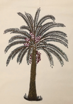 copriletto-singolo-alberi