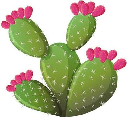 2775809-spinoso-cactus-in-stile-cartoon-isolato-su-sfondo-bianco-gratuito-vettoriale.jpeg
