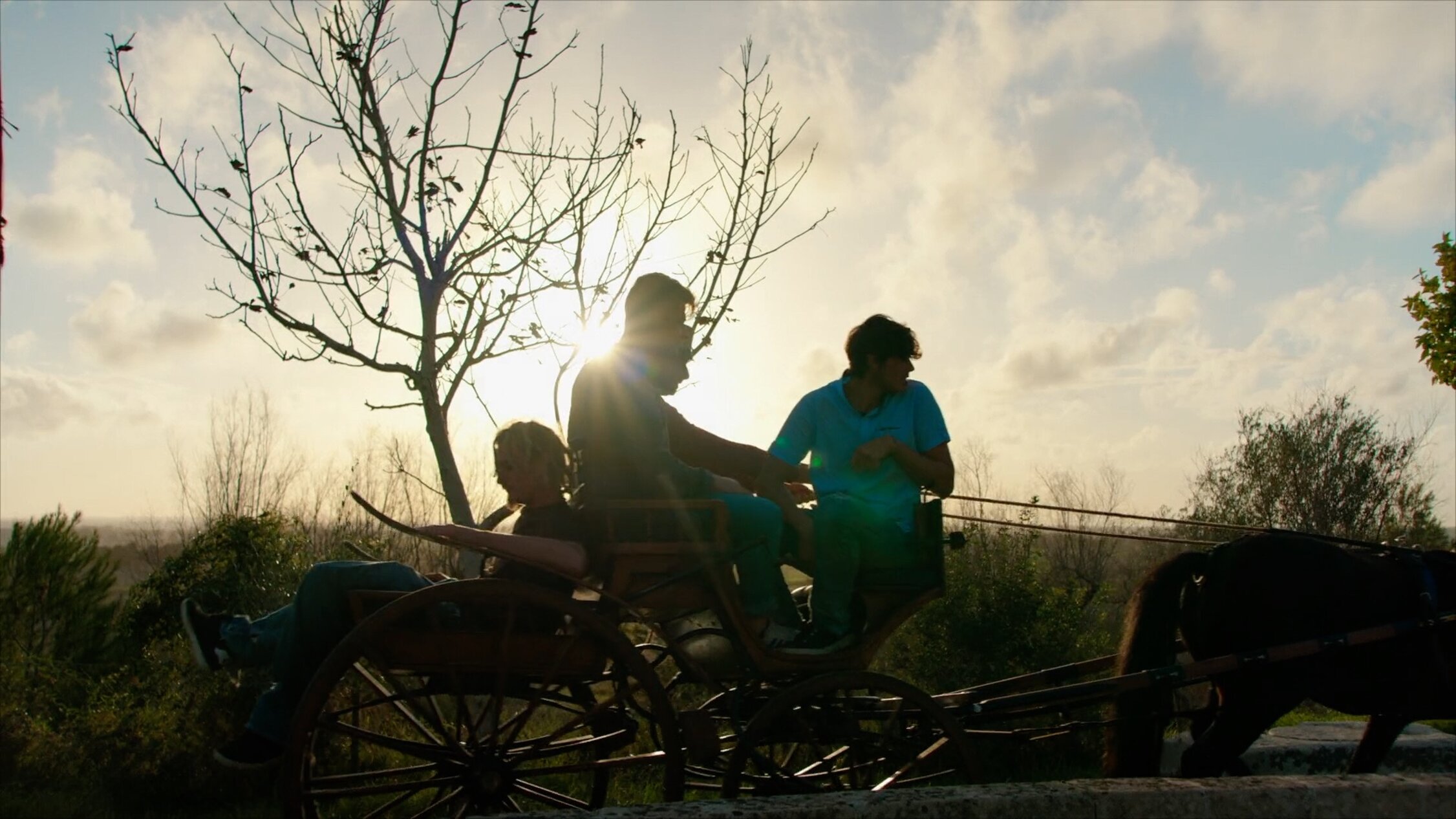 frame ragazzi calesse 2.jpeg frame ragazzi calesse 2.jpeg