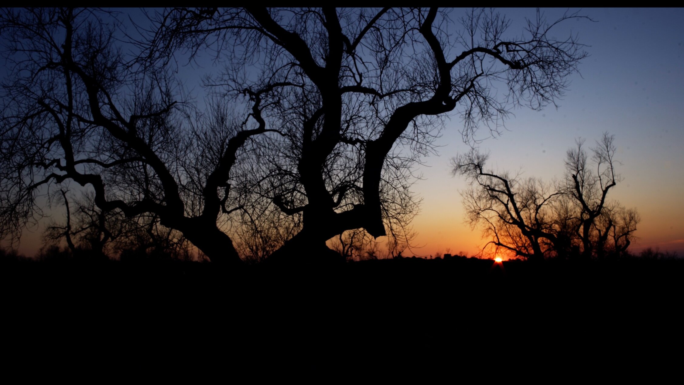 foto tramonto .jpeg foto tramonto .jpeg