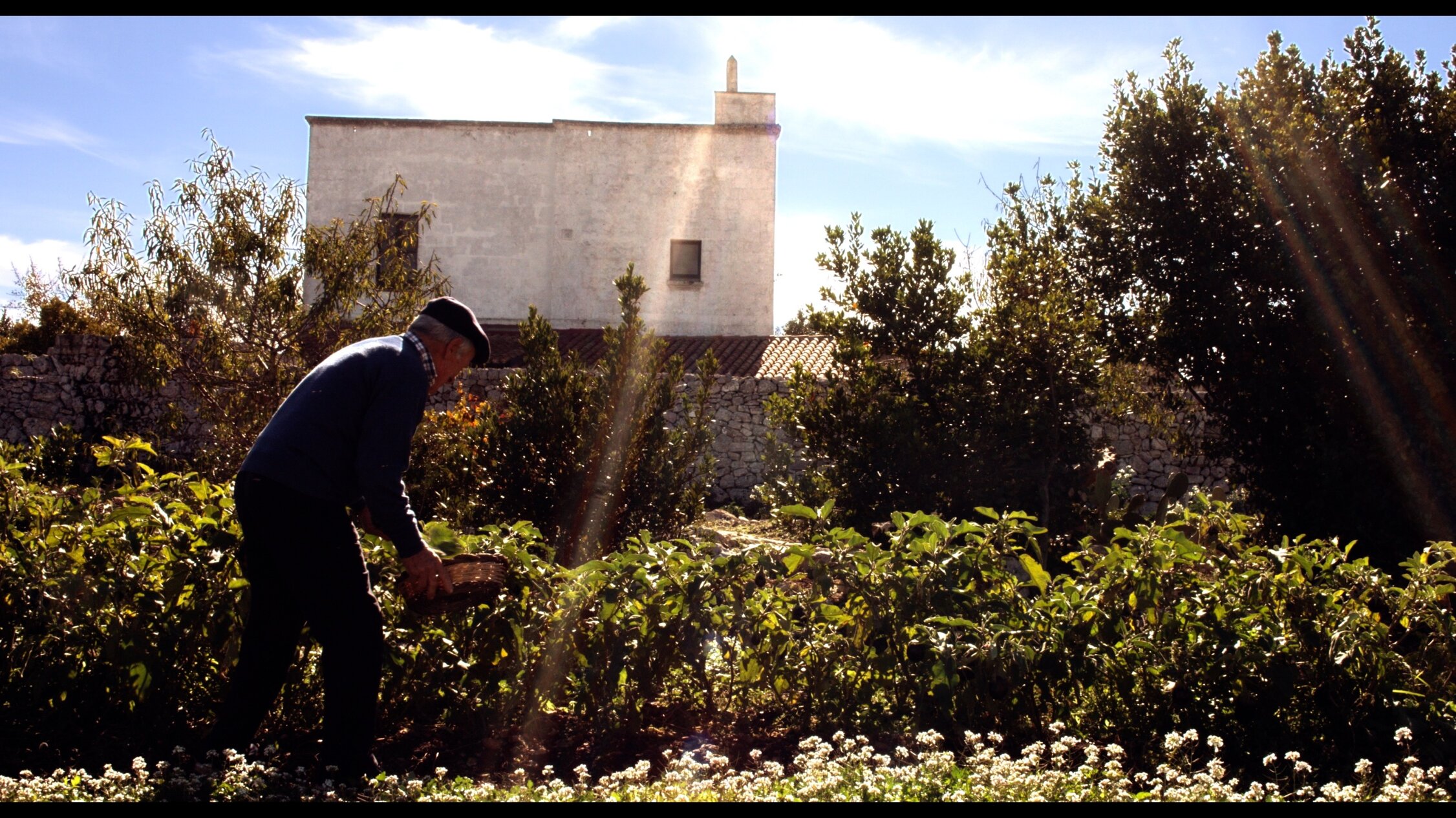 foto masseria contadino orto.jpeg foto masseria contadino orto.jpeg