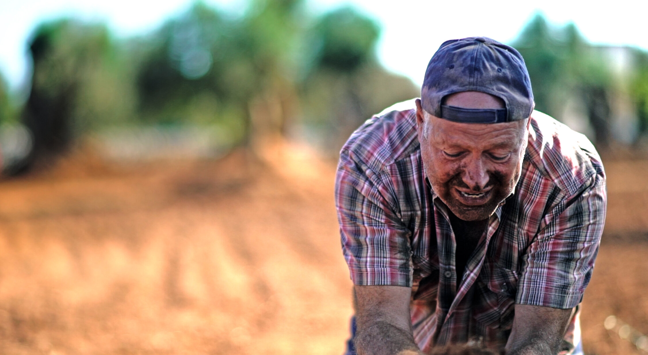 contadinodisperato contadinodisperato