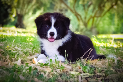 70094632-f0db-4541-b7ac-e5fb50306e80