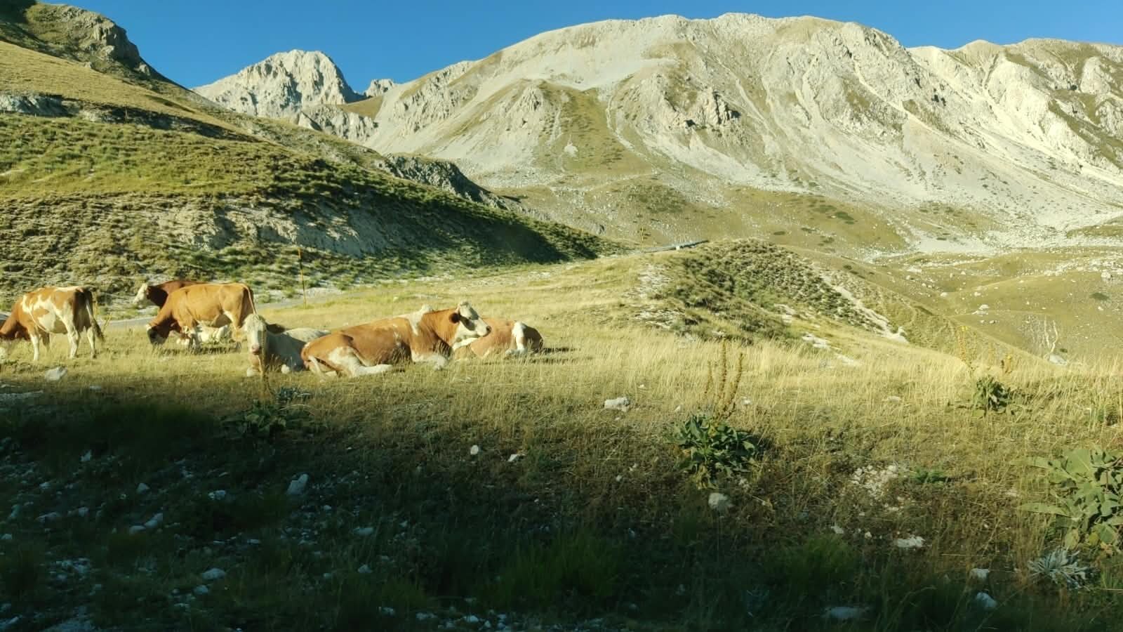 Dalla Maiella al Gran Sasso