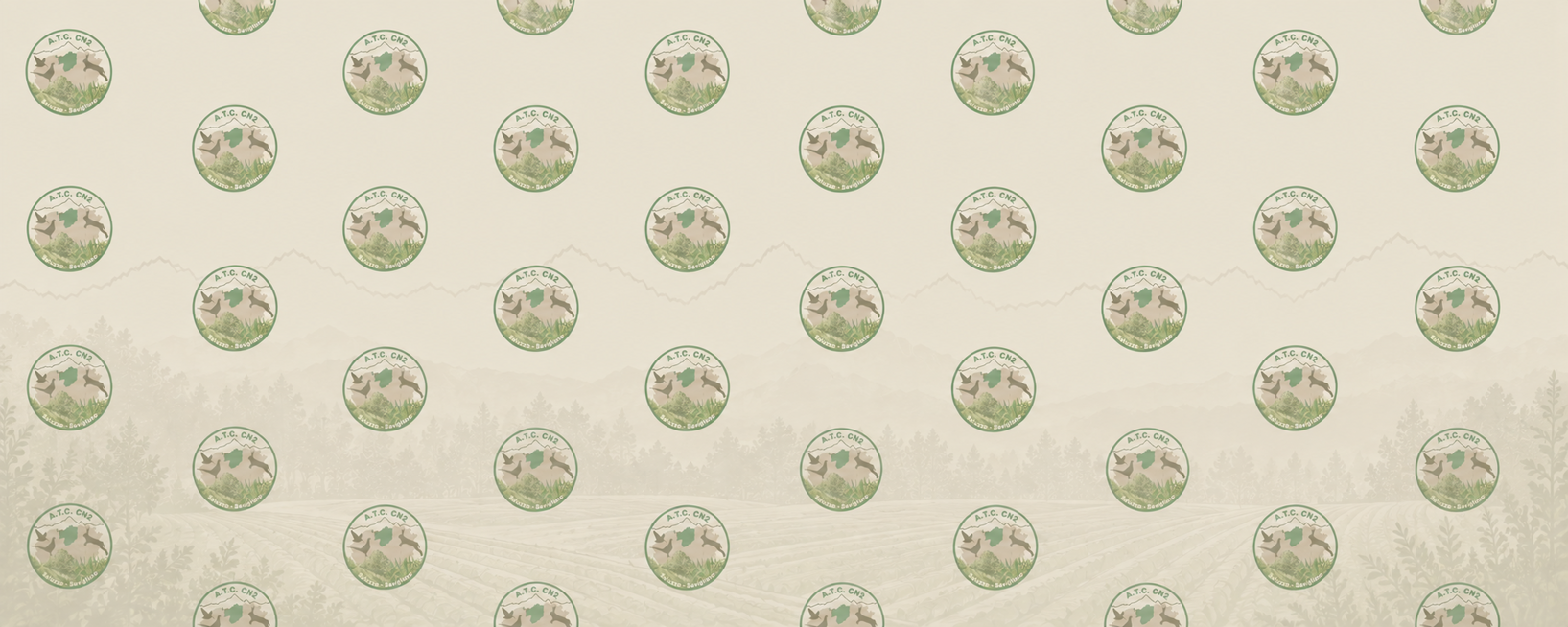 banner orari banner orari
