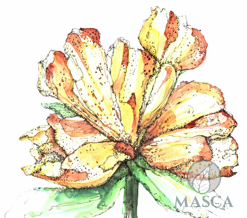 genziana_masca.jpeg genziana_masca.jpeg