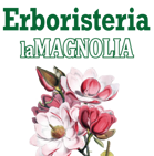 logolamagnolia logolamagnolia