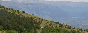 la forchetta