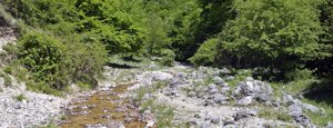 fosso del rio fosso del rio