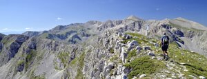 il costone