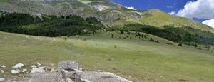 fontanile di san vincenzo