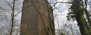 torre di piantorena