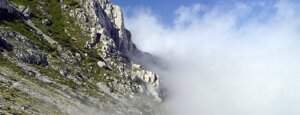 rava del ferro