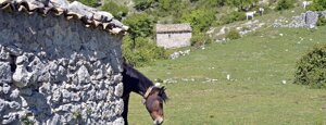 borgo giannarelli borgo giannarelli