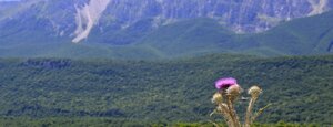 monte sirente