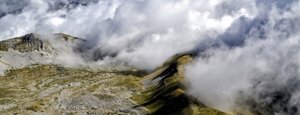 monte miele monte miele