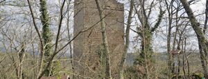 torre di piantorena