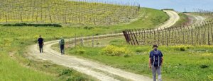 val d'orcia