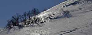 monte turchio