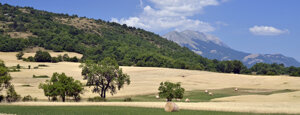 la forchetta