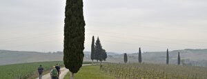 val d'orcia