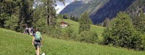 alpe stalle