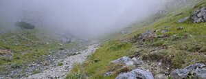 rava del ferro