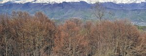 monti della laga monti della laga