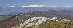morrone del diavolo