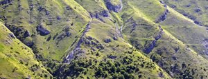 monte jenca