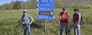 montalcino