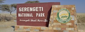 205%20serengeti%20national%20park.jpeg 205%20serengeti%20national%20park.jpeg