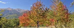 monti della laga autunno
