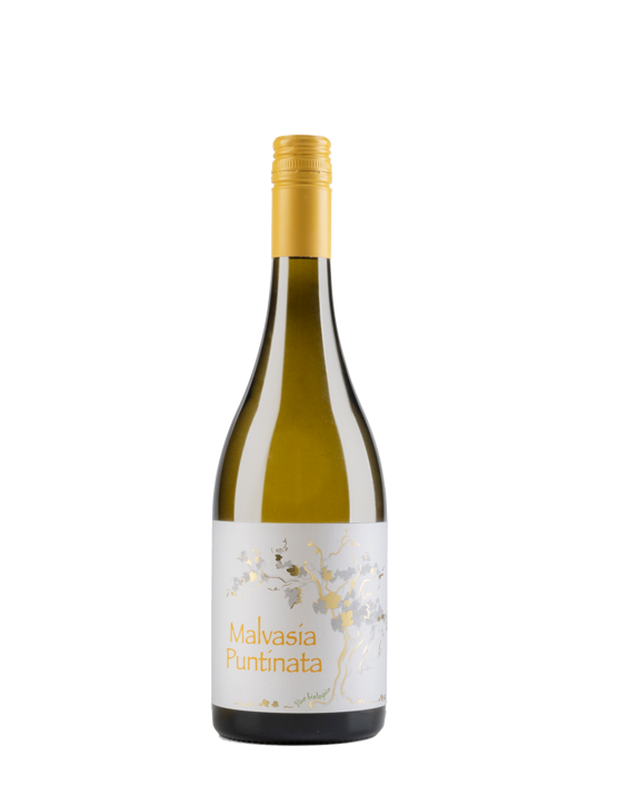 malvasia puntinata malvasia puntinata