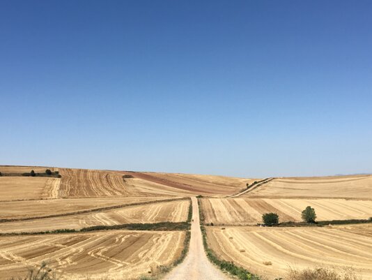 Strada di campagna tra campi arati sotto un cielo azzurro