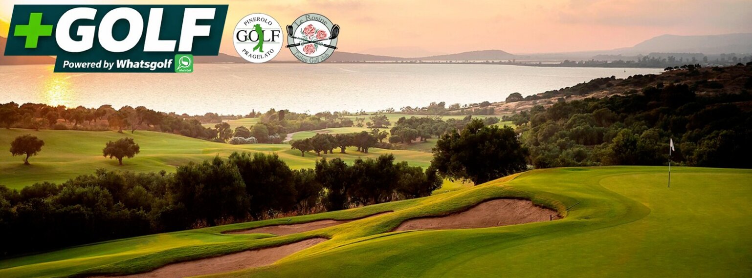 cover.jpeg cover.jpeg