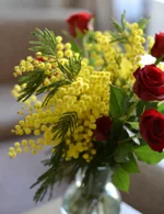 bouquet-mimosa-con-5-rose-rosse-speciale-festa-della-donna-milano