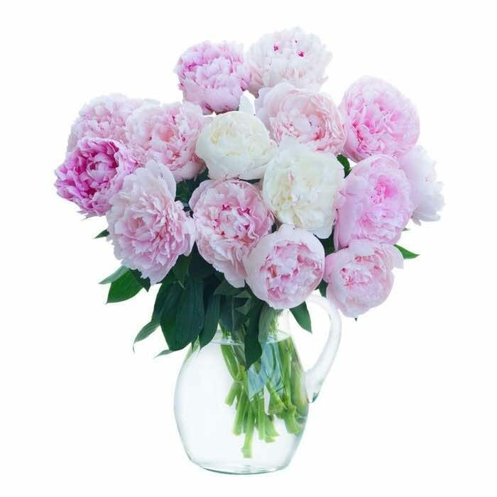 bouquet-di-peonie-pastello-–-eleganza-e-raffinatezza-senza-tempo.jpeg