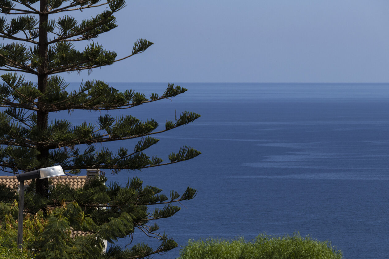 img_8815-1.jpeg img_8815-1.jpeg