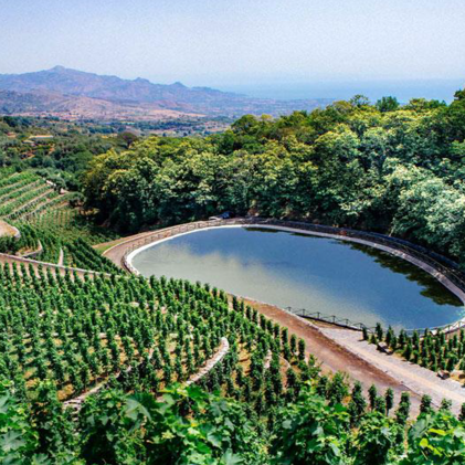 senza titolo-4_tavola disegno 1-02