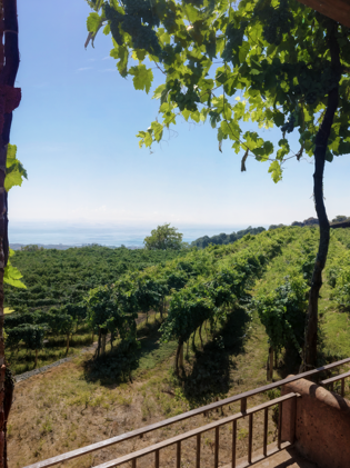 enhanced_8667_aa44af852f65325810daab63dca5230f8a23bc08