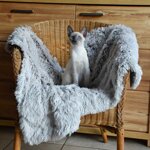 coperta-poilu-super-soffice-beige