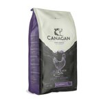 light-senior-all-breeds