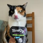 latte-funzionale-per-gatti-200ml