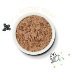 cena-di-natale-per-gatti-2024