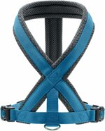 harness-london-comfort-azzurra