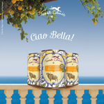 terra-canis-special-edition-amalfitana-al-bufalo-con-ricotta-polenta-e-mandarino