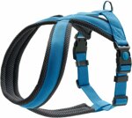 harness-london-comfort-azzurra