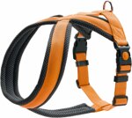 harness-london-comfort-arancio