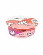 gelato-per-cani-e-gatti-all-anguria-e-frutti-rossi